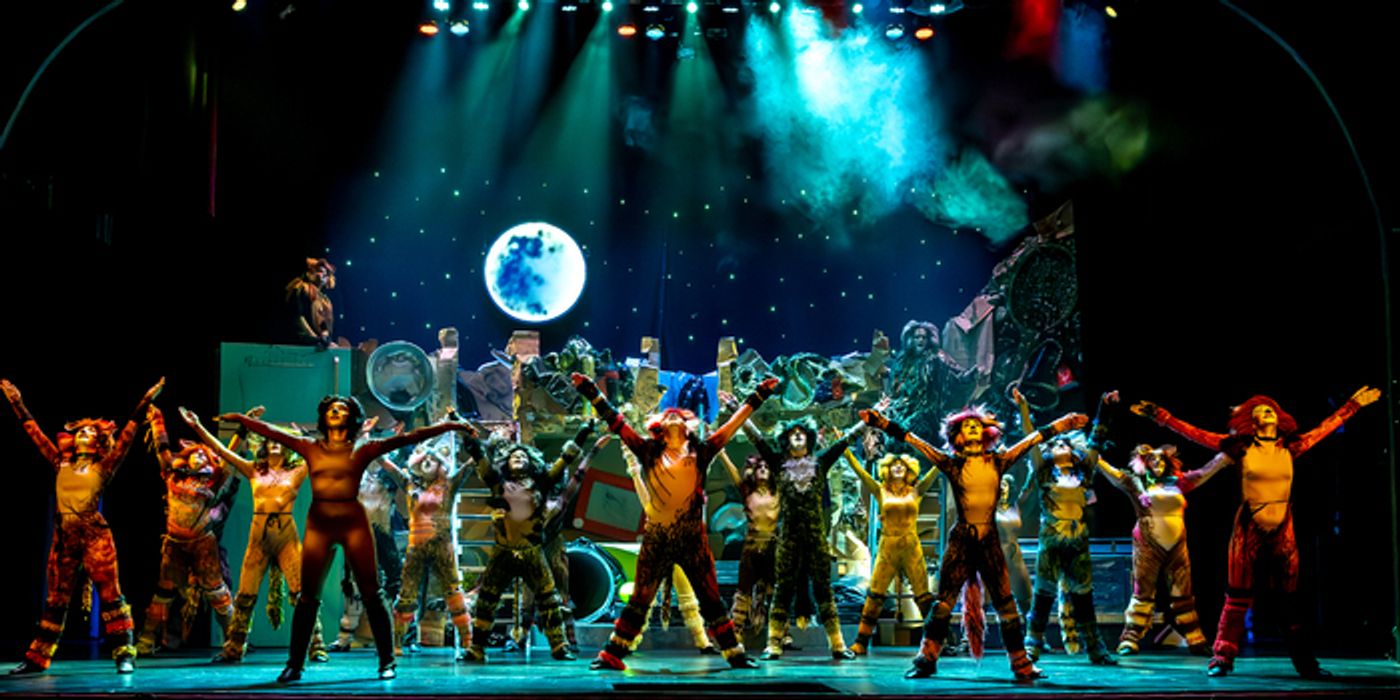 Photo/Video: CATS Comes To Life At Algonquin Arts Theatre  Image