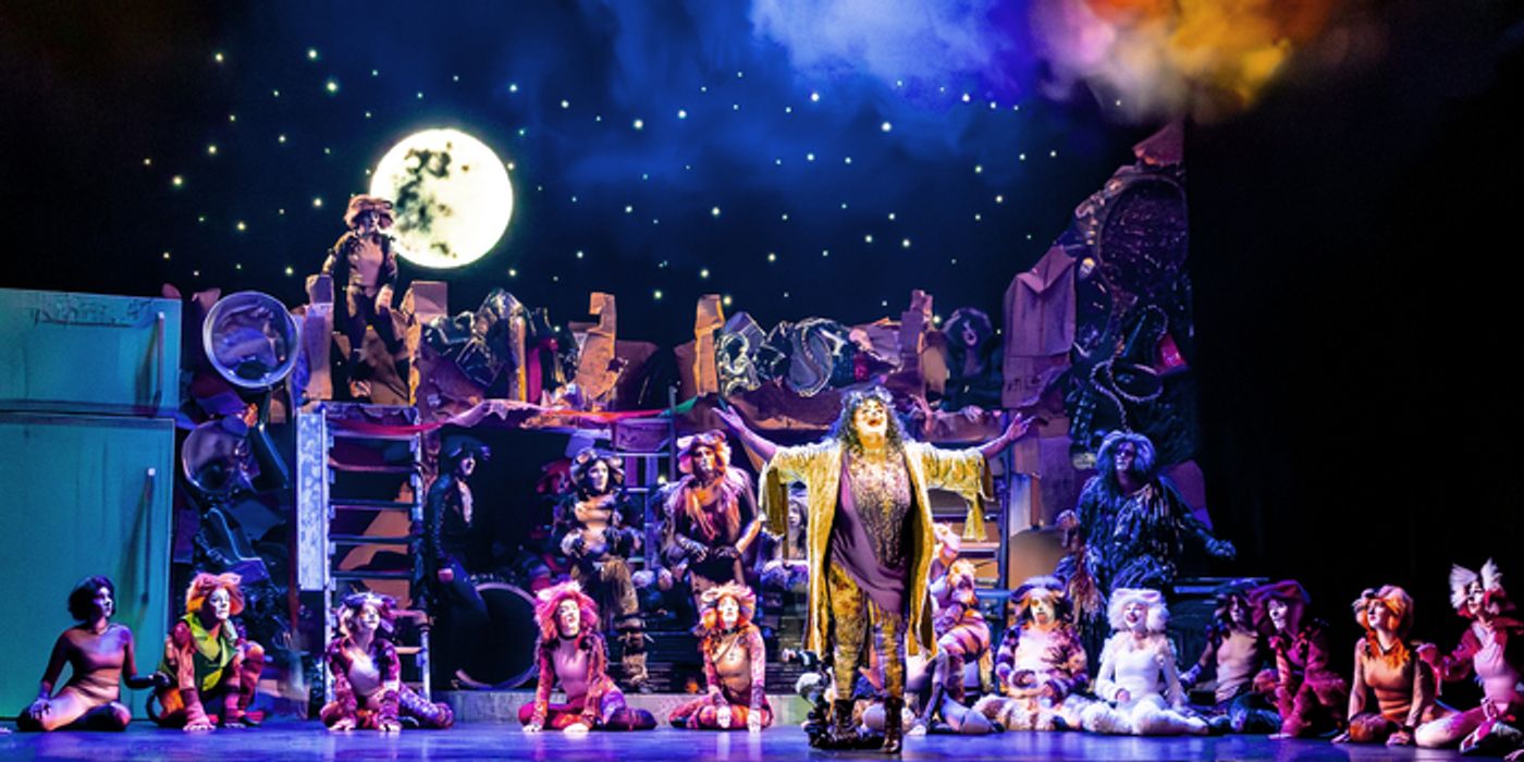 Photo/Video: CATS Comes To Life At Algonquin Arts Theatre  Image