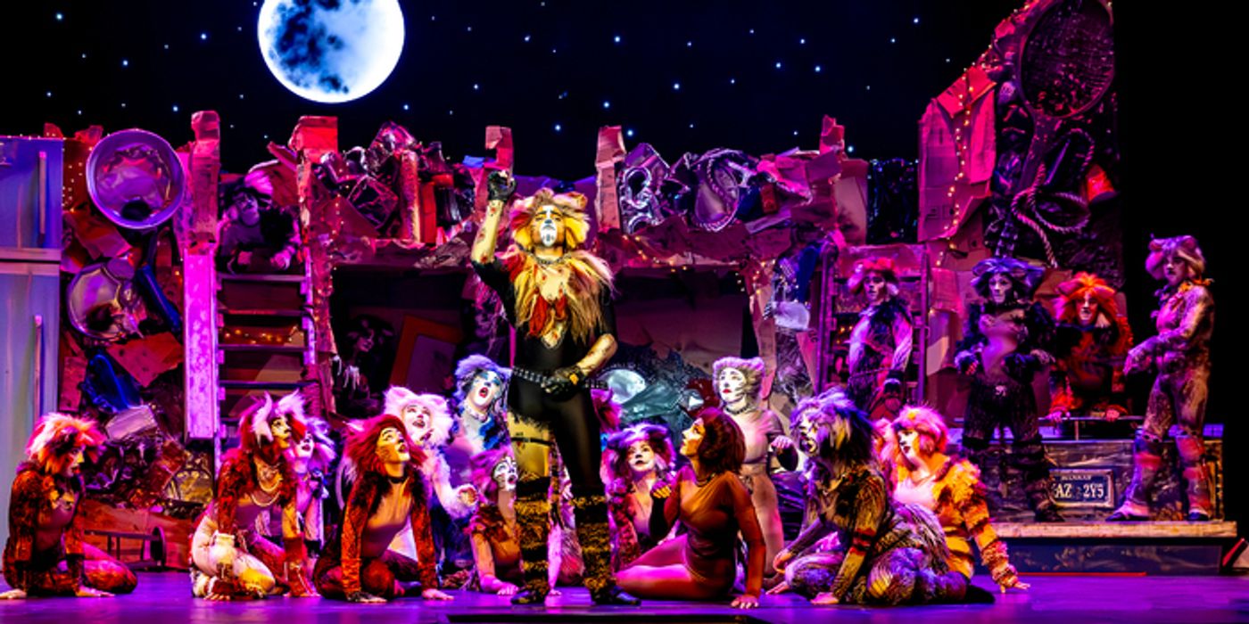 Photo/Video: CATS Comes To Life At Algonquin Arts Theatre  Image