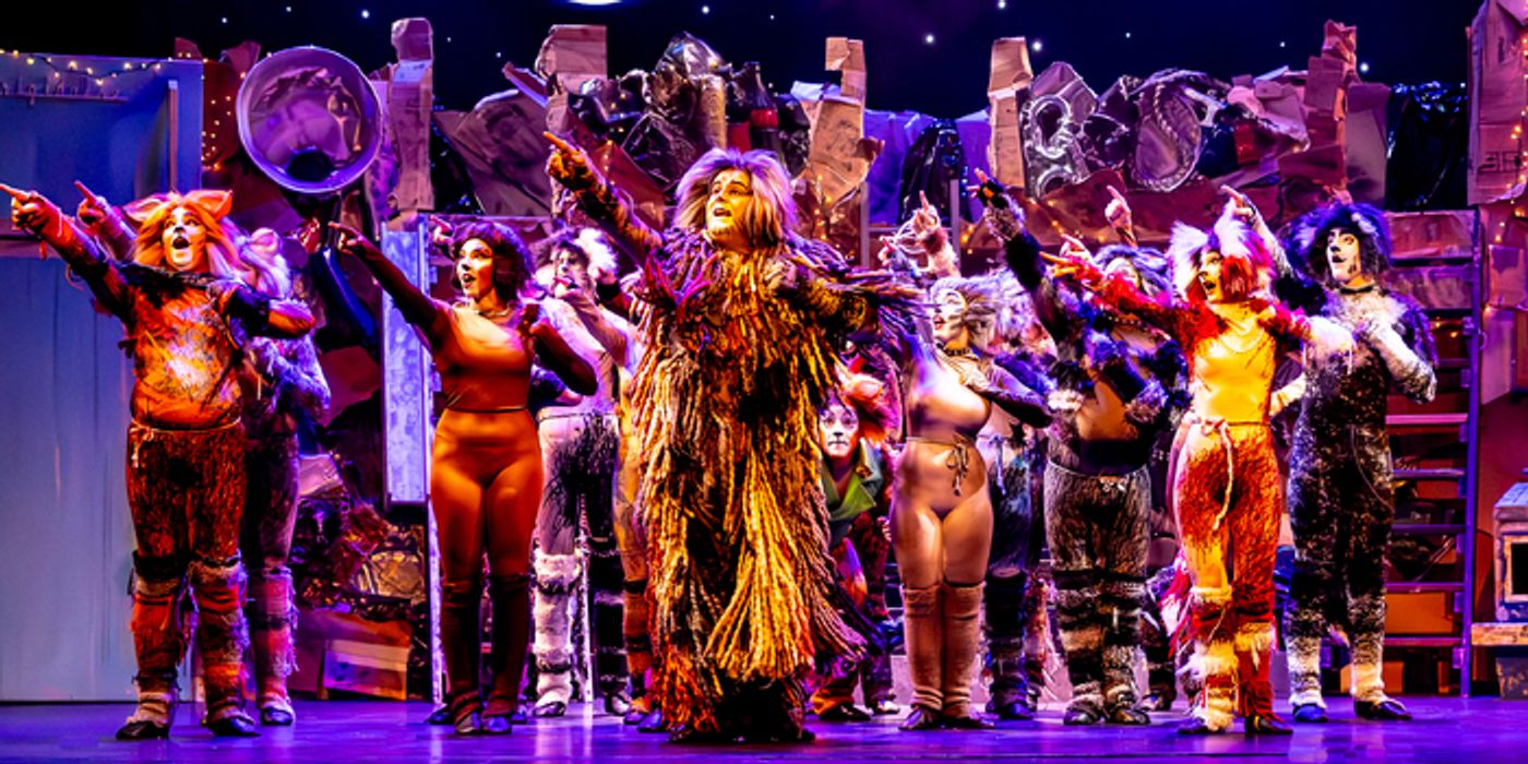 Photo/Video: CATS Comes To Life At Algonquin Arts Theatre  Image