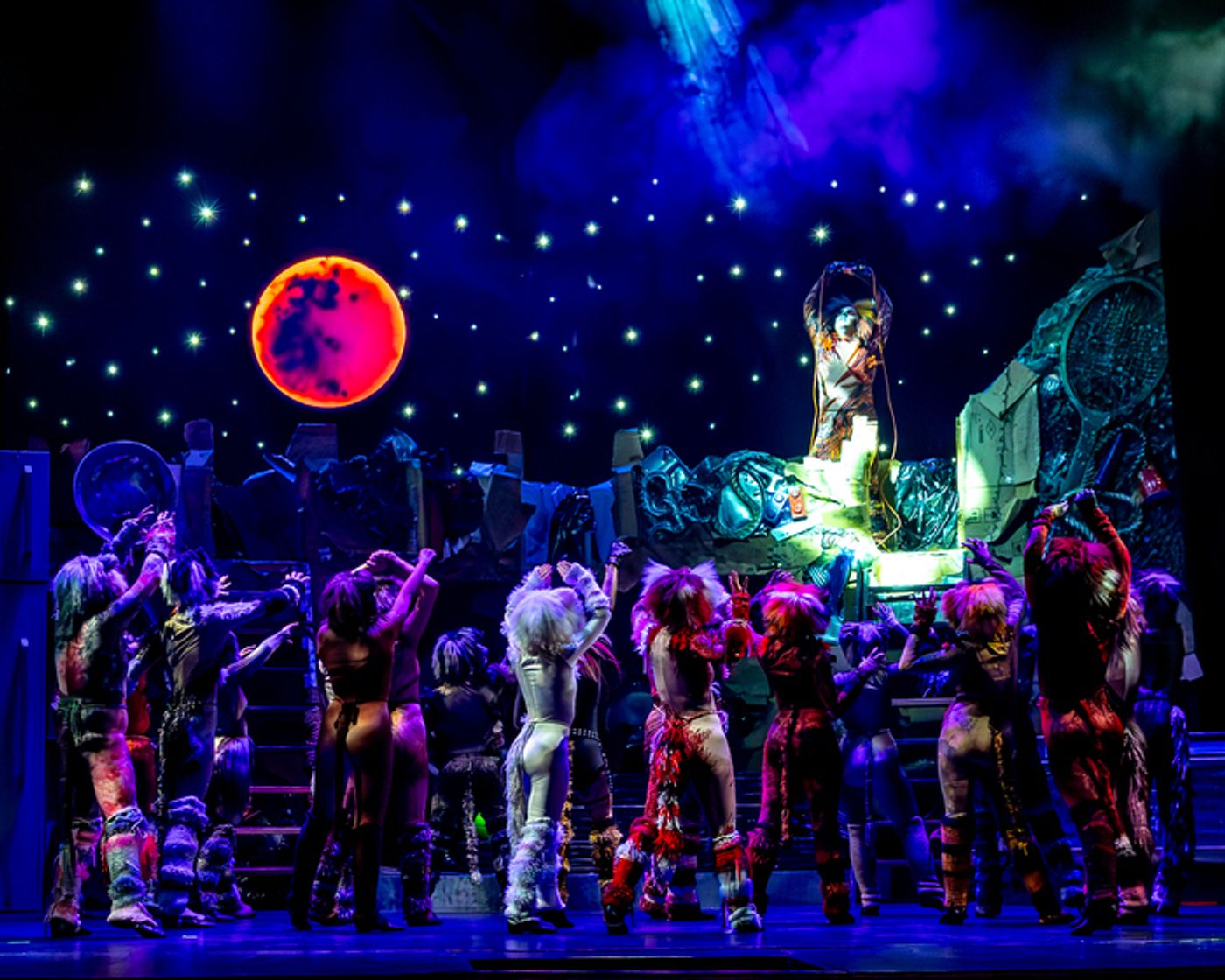 Photo/Video: CATS Comes To Life At Algonquin Arts Theatre  Image