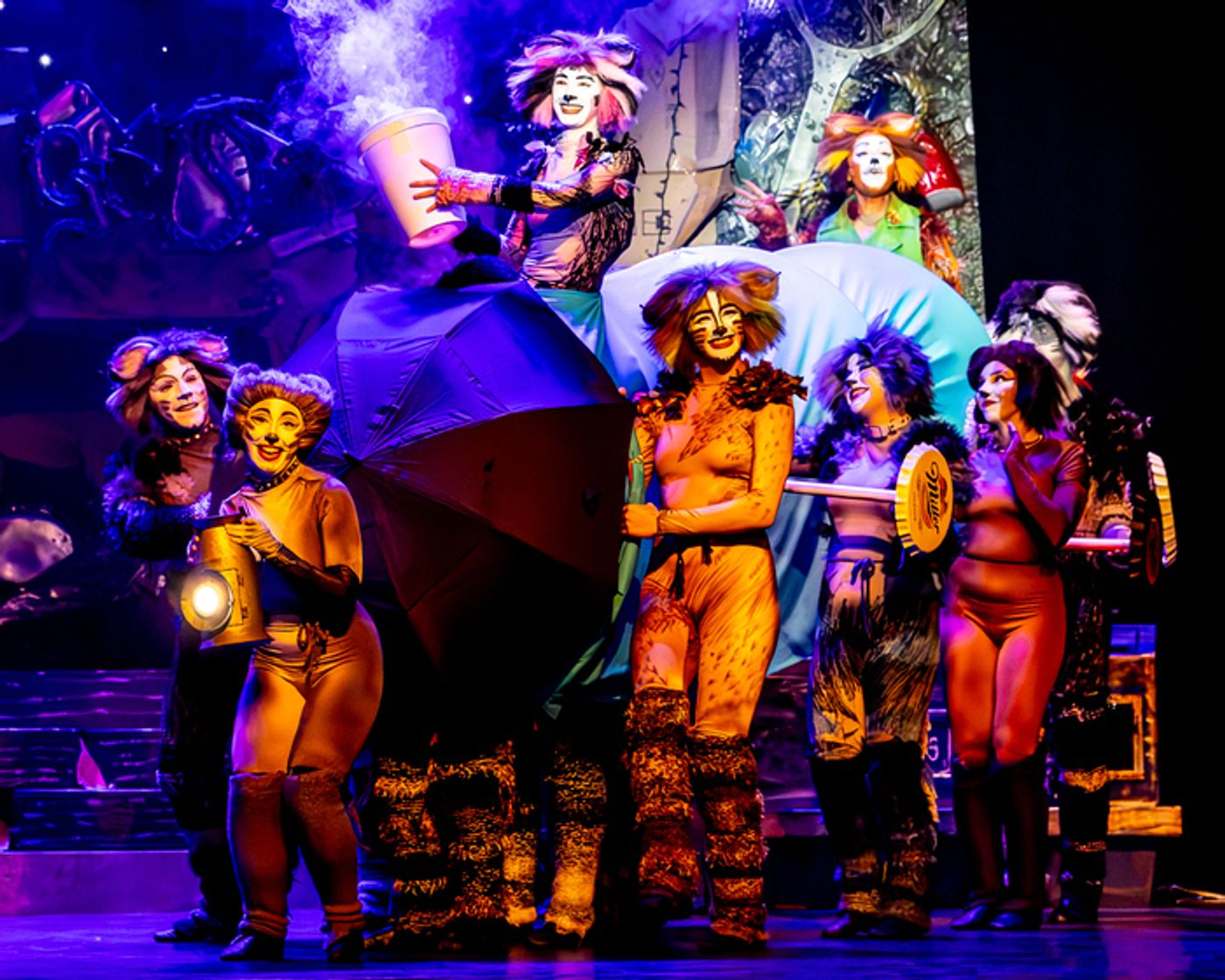 Photo/Video: CATS Comes To Life At Algonquin Arts Theatre  Image