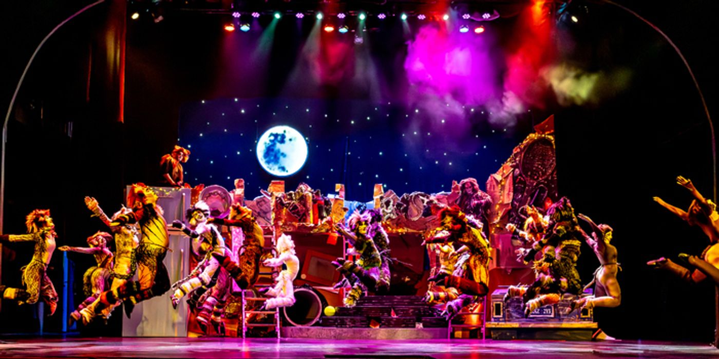Photo/Video: CATS Comes To Life At Algonquin Arts Theatre  Image