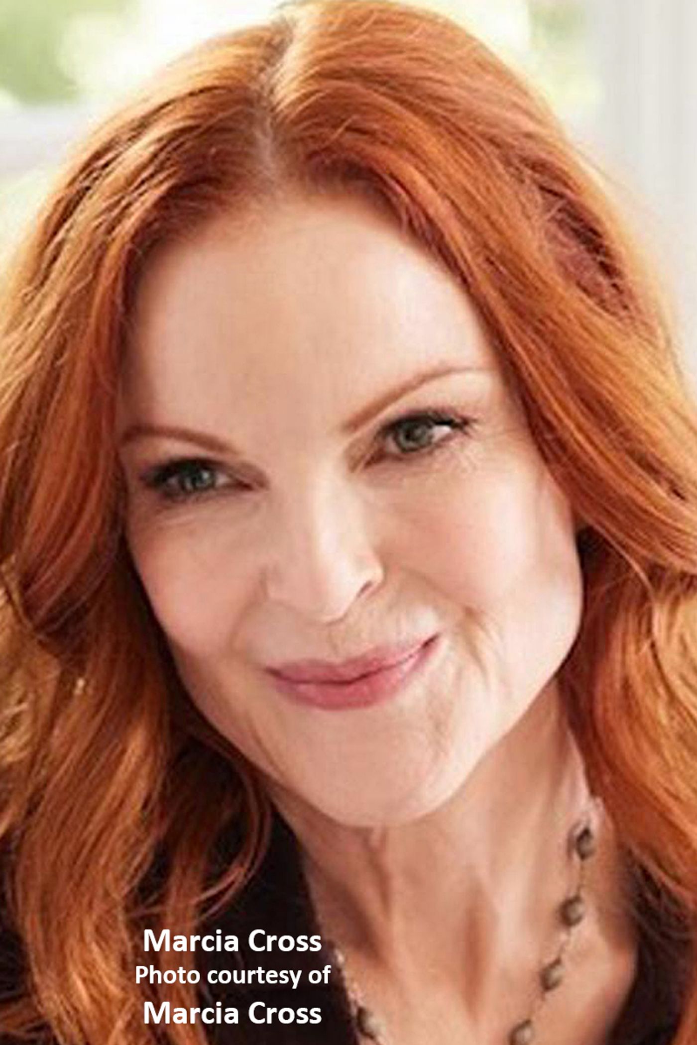 Interview: Marcia Cross' The Substance in THE SUBSTANCE OF FIRE  Image