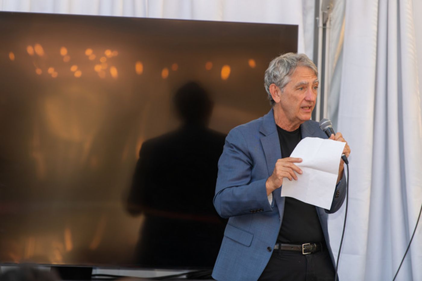 Photos: Main Street Theatre And Dance Alliance 2nd Annual Star Award Gala Photos: Main Street Theatre And Dance Alliance 2nd Annual Star Award Gala Image