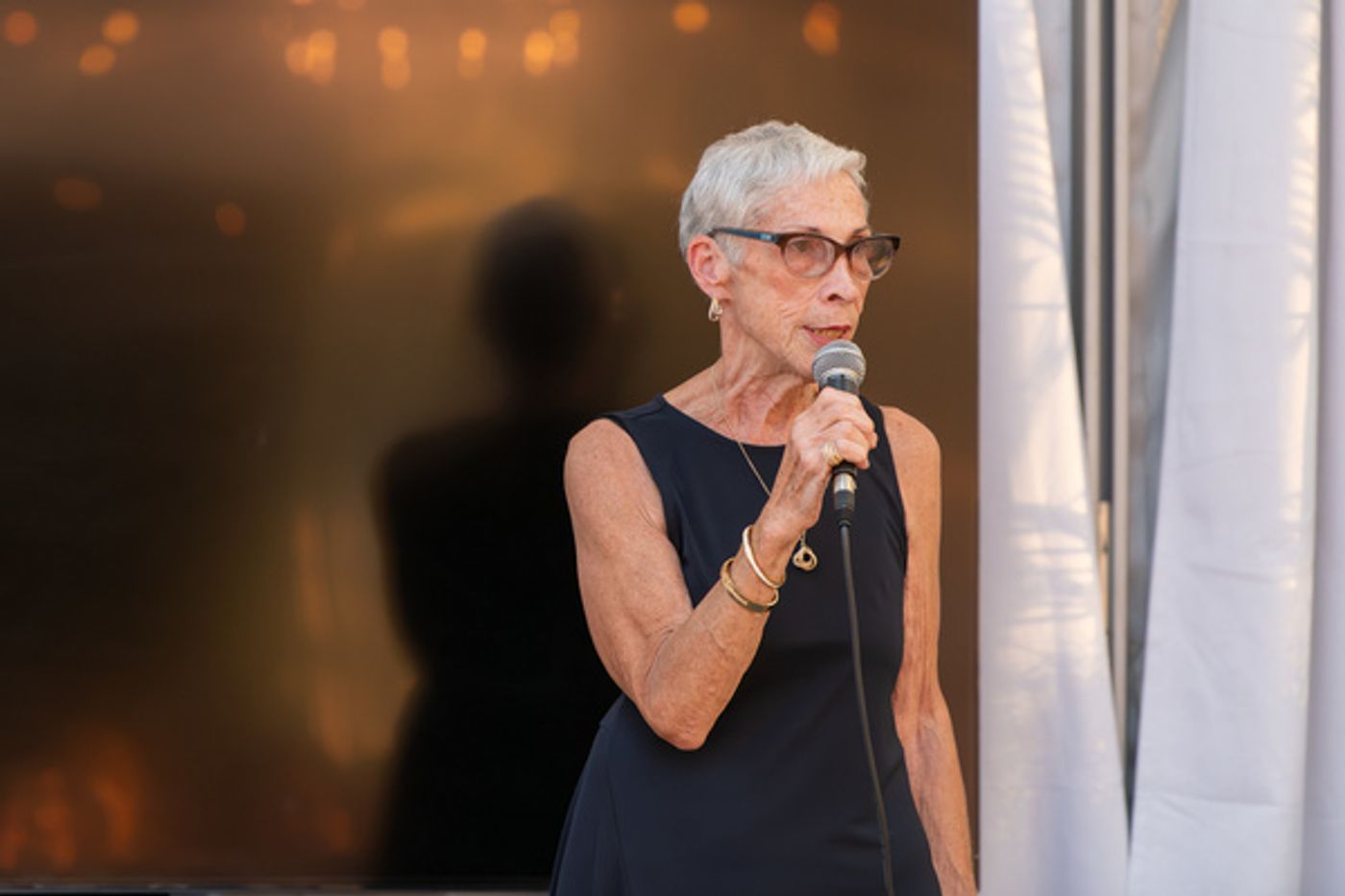 Photos: Main Street Theatre And Dance Alliance 2nd Annual Star Award Gala Photos: Main Street Theatre And Dance Alliance 2nd Annual Star Award Gala Image