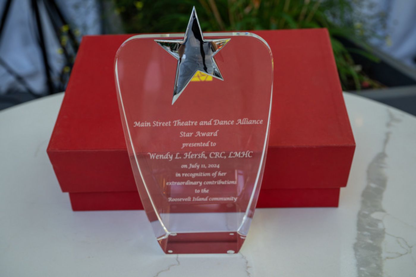 Photos: Main Street Theatre And Dance Alliance 2nd Annual Star Award Gala Photos: Main Street Theatre And Dance Alliance 2nd Annual Star Award Gala Image