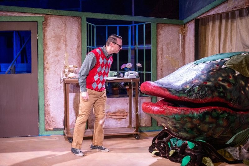 Review: LITTLE SHOP OF HORRORS at Lewisville Playhouse  Image