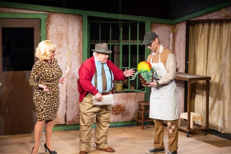 Review: LITTLE SHOP OF HORRORS at Lewisville Playhouse  Image