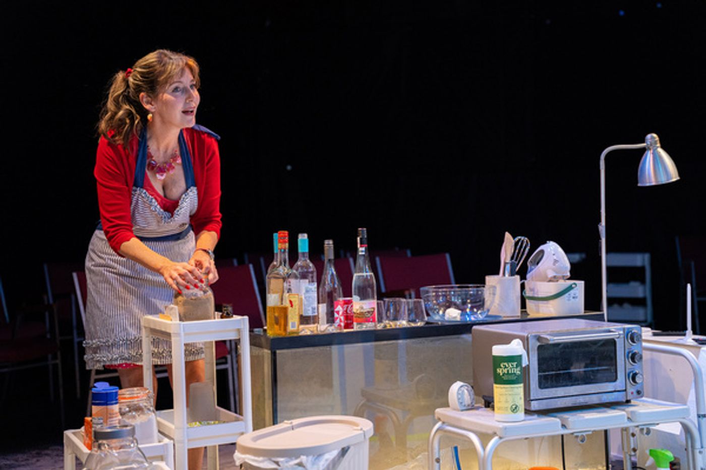 Photos: DIDO OF IDAHO At Echo Theater Company Photos: DIDO OF IDAHO At Echo Theater Company Image