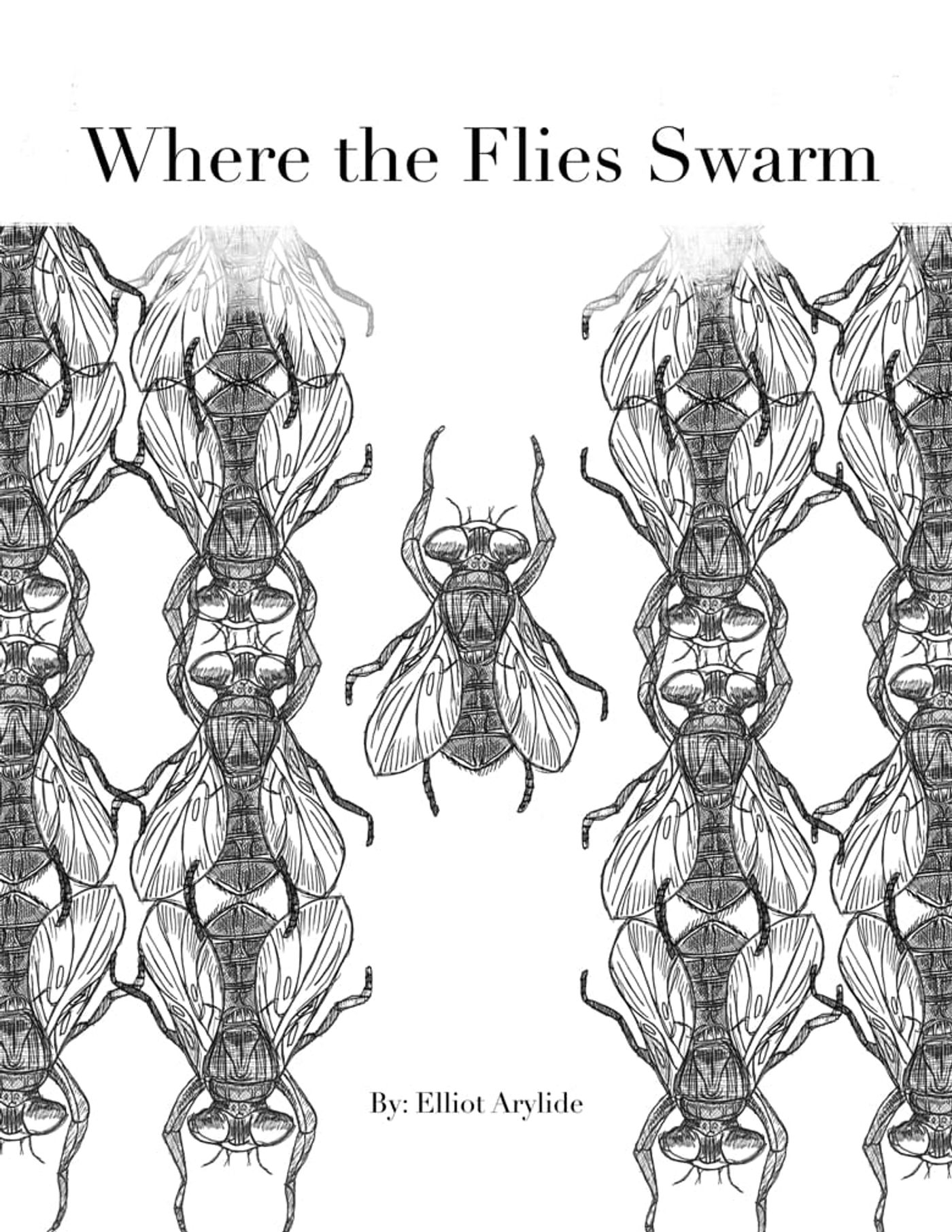 Review: HARRISBURG FRINGE FESTIVAL 2024 DAY 4 at Various Harrisburg Venues  Image