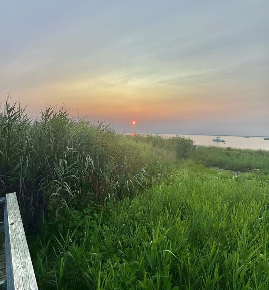 Student Blog: Finding Play Inspiration on Fire Island Image