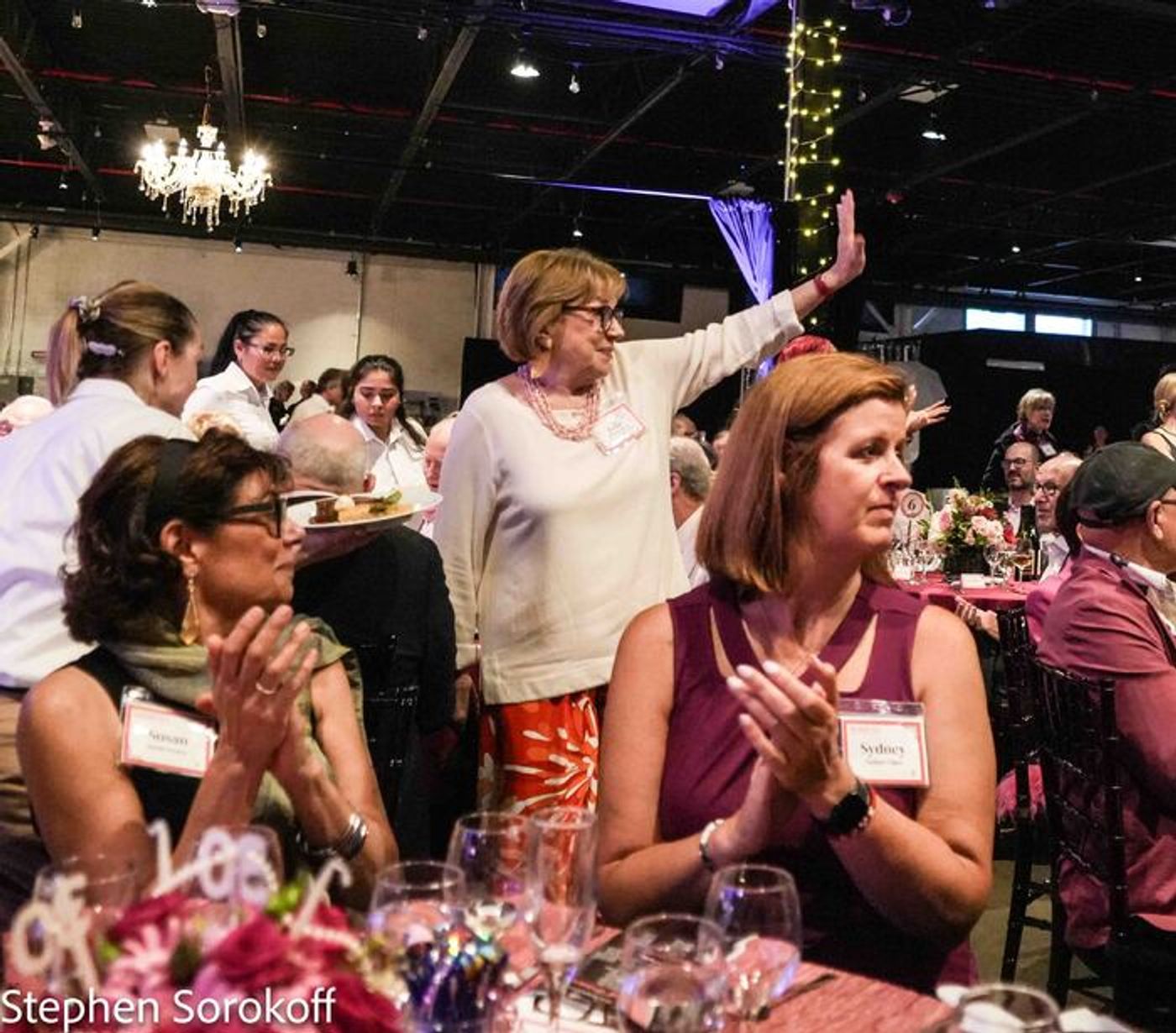 Photos: Inside The Barrington Stage Co. 30th Anniversary Celebration  Image