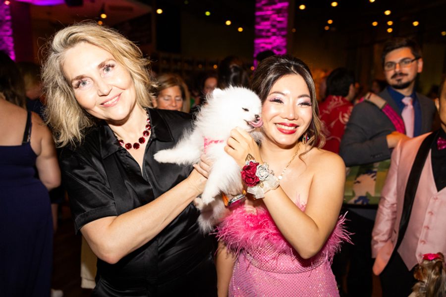 Photos: Kristin Chenoweth & More at THE QUEEN OF VERSAILLES Opening Night Image