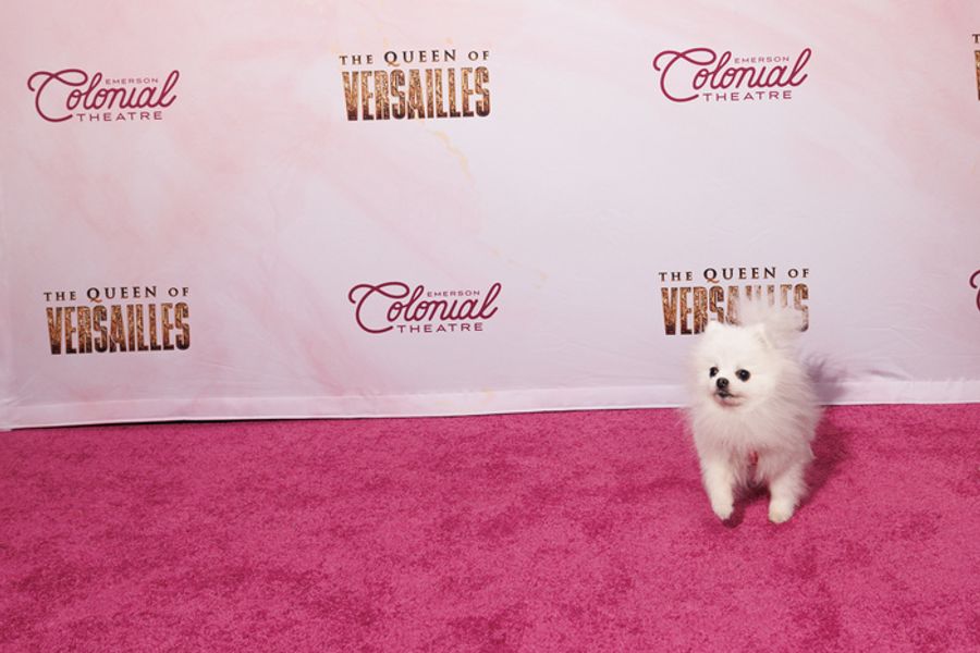 Photos: Kristin Chenoweth & More at THE QUEEN OF VERSAILLES Opening Night Image