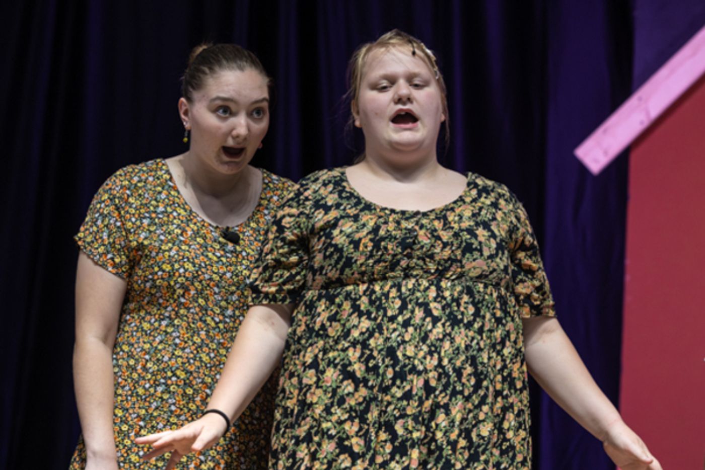 Photos: First look at Rise Up Art Alliance's HONK! JR Photos: First look at Rise Up Art Alliance's HONK! JR Image