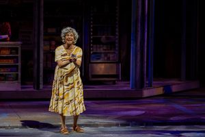 Nancy Ticotin @ BroadwayWorld Nancy Ticotin Photo