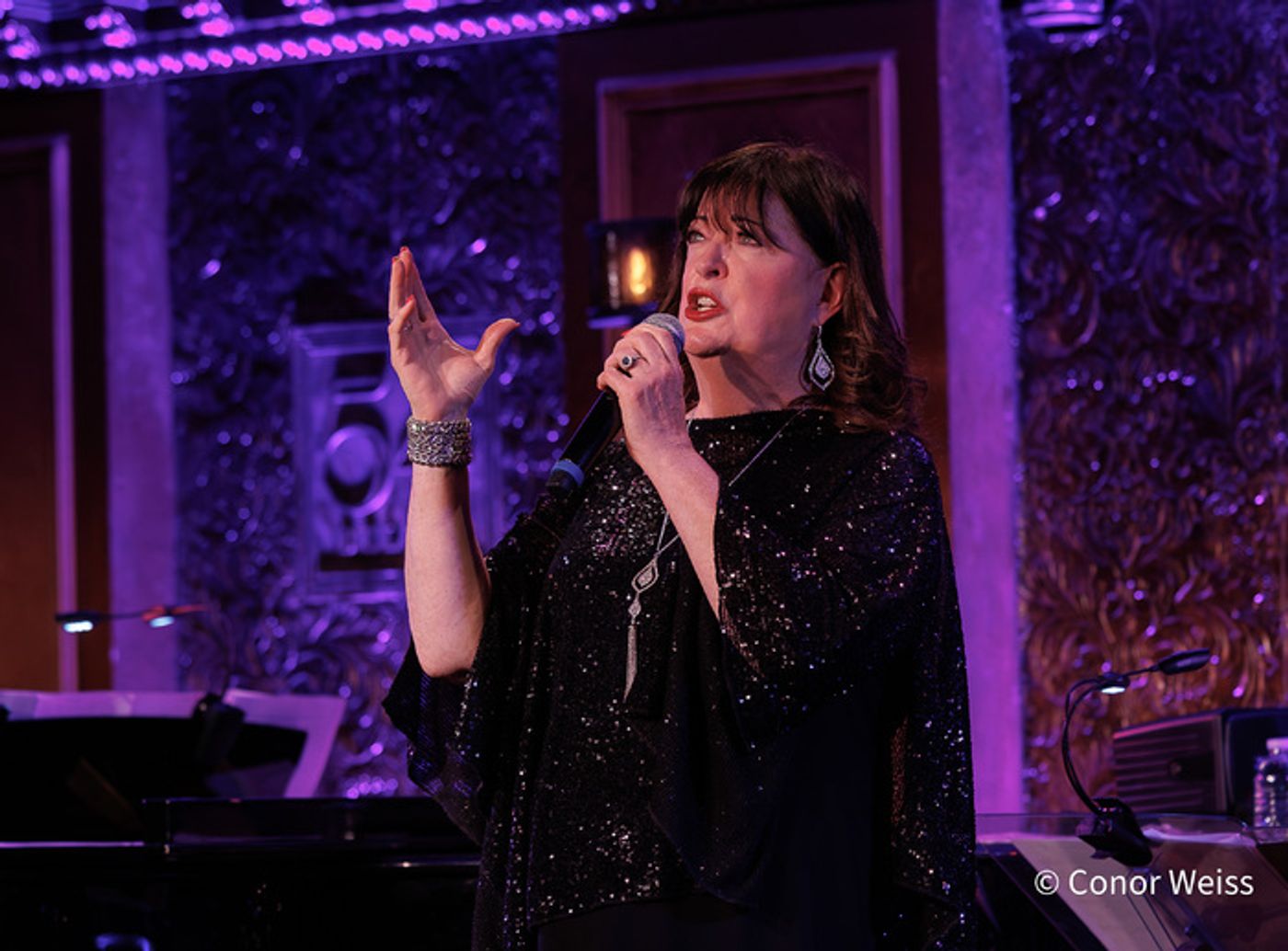 Photos: Highlights from Ann Hampton Callaway's FINDING BEAUTY at 54 Below Photos: Highlights from Ann Hampton Callaway's FINDING BEAUTY at 54 Below Image