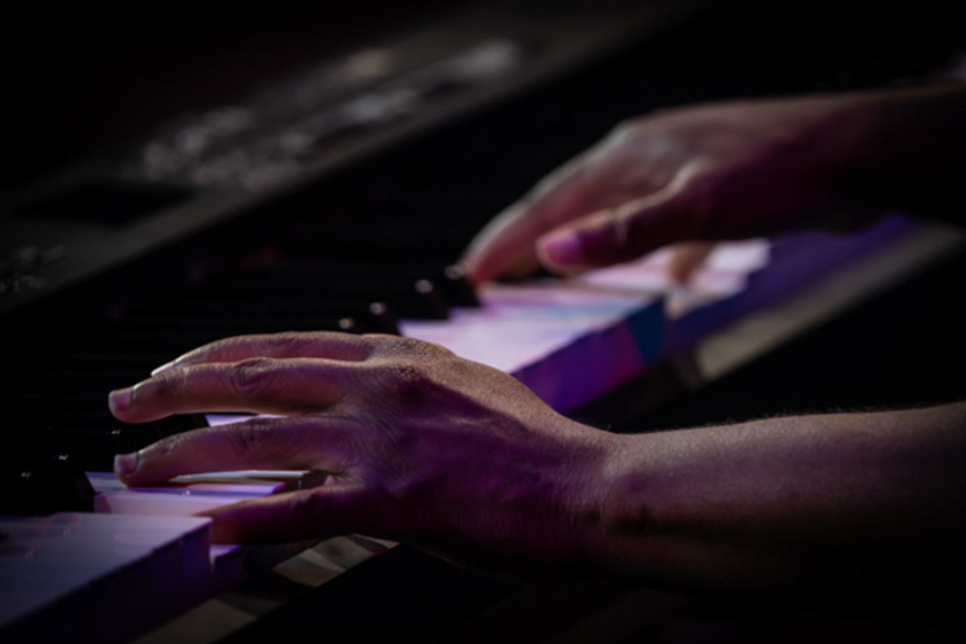 Photos: Inside Mount Vernon Arts Consortium's BEYOND LABELS: An ARTful Celebration of Abilities  Image