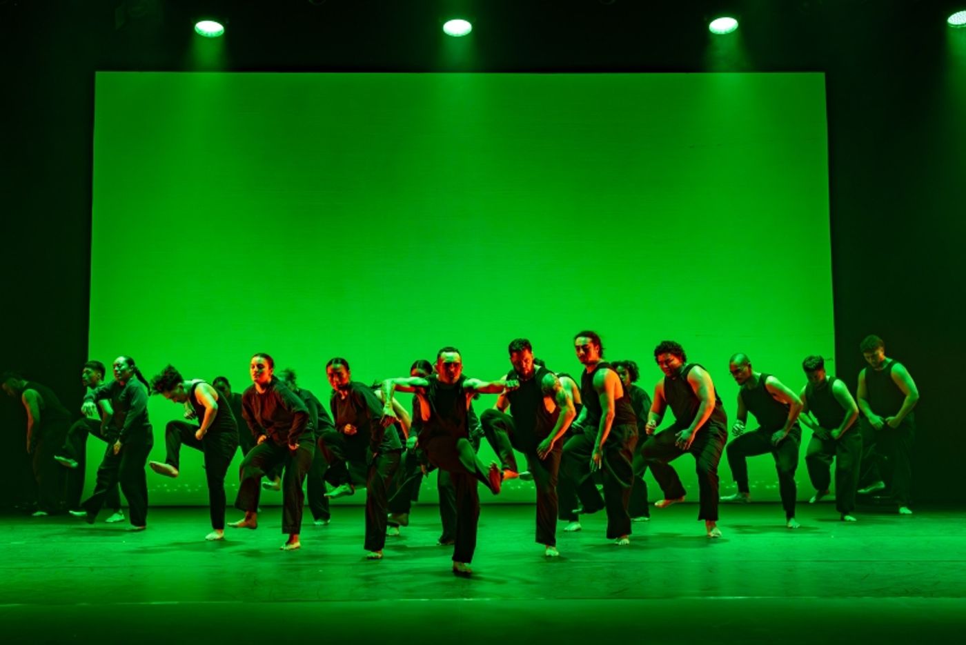 REVIEW: MAUI at Sydney Opera House  Image