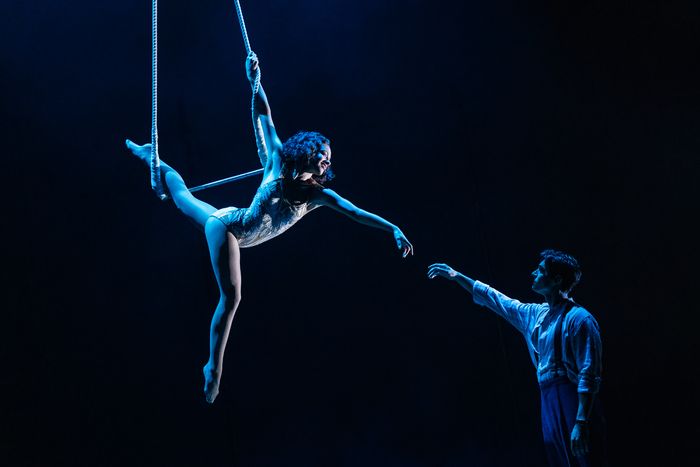 Photos: Kyle Selig Joins WATER FOR ELEPHANTS on Broadway — photo 1 of 8