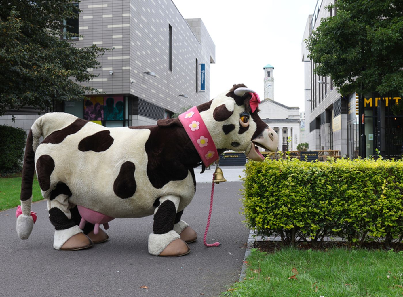 Photos: Meet the Cast of JACK AND THE BEANSTALK Panto at Southampton's Mayflower Theatre Photos: Meet the Cast of JACK AND THE BEANSTALK Panto at Southampton's Mayflower Theatre Image
