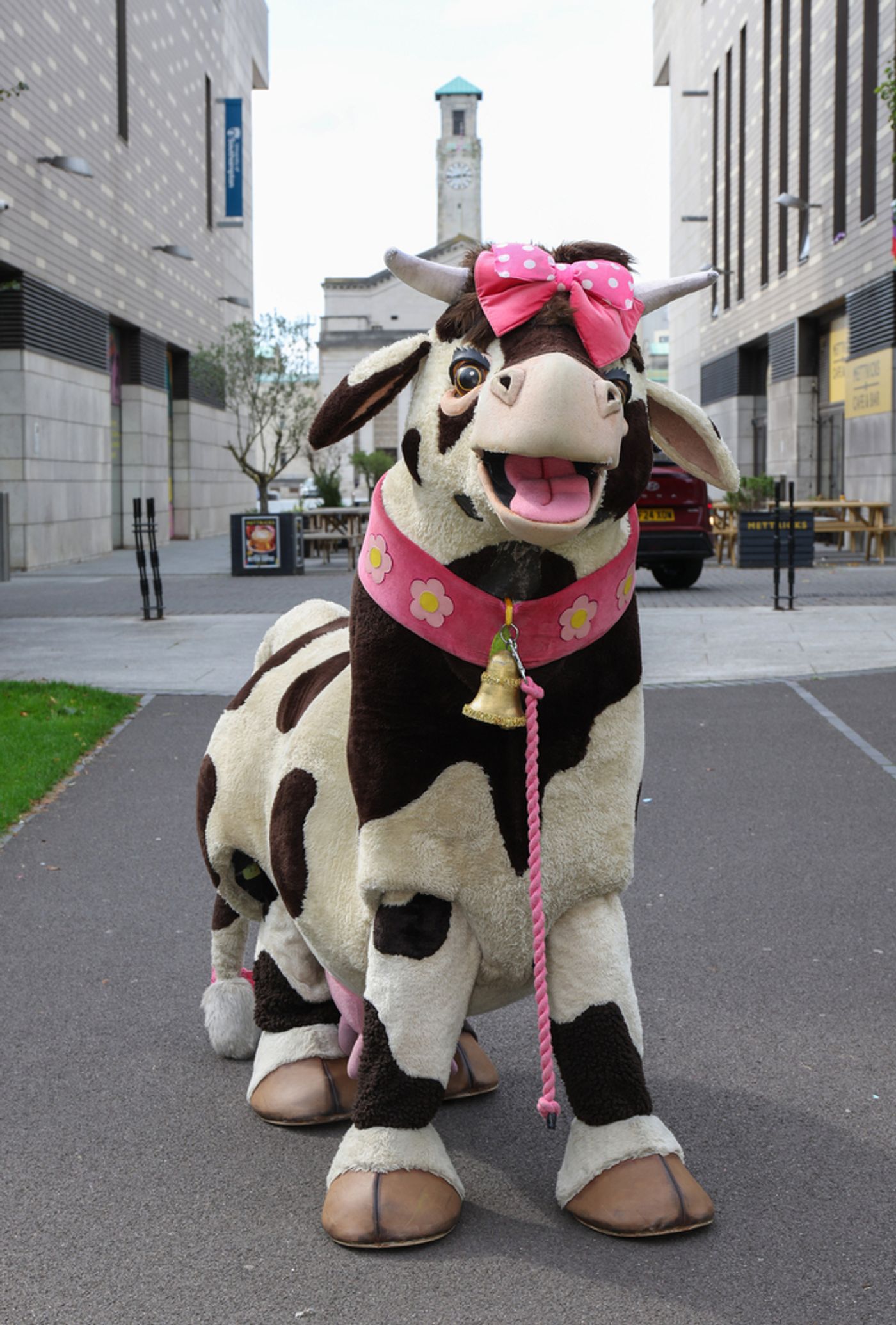 Photos: Meet the Cast of JACK AND THE BEANSTALK Panto at Southampton's Mayflower Theatre Photos: Meet the Cast of JACK AND THE BEANSTALK Panto at Southampton's Mayflower Theatre Image