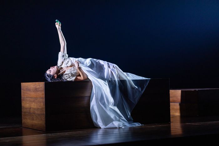 Photos: ROMEO AND JULIET at A.R.T. New Images — photo 7 of 11