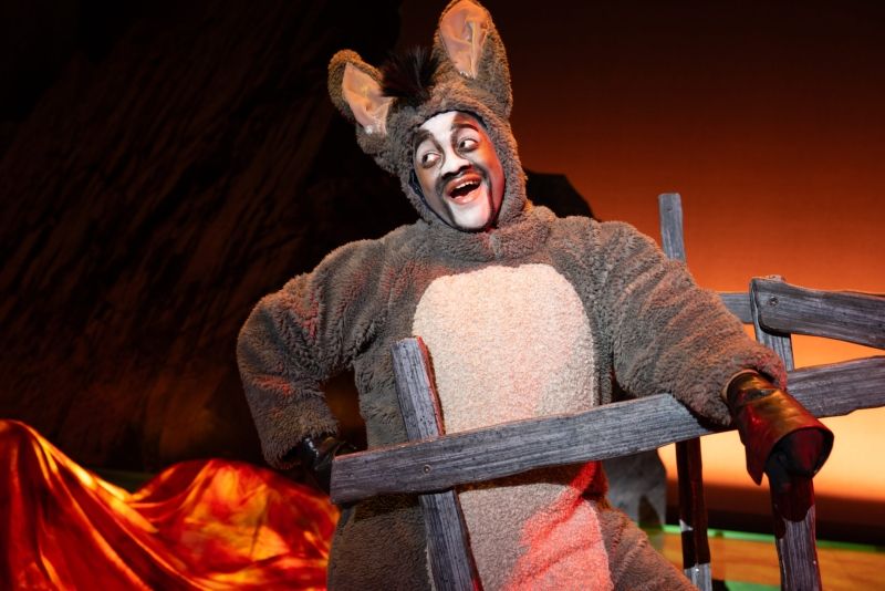 Review: SHREK THE MUSICAL at Capital One Hall Image