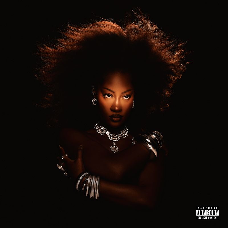 Review: TEMS Shines in Vancouver With her Powerhouse Vocals and Soulful Vibes Image