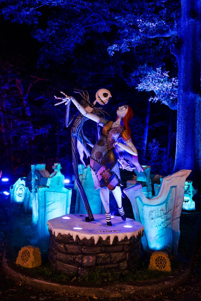 Photos: Inside THE NIGHTMARE BEFORE CHRISTMAS Light Trail at the New York Botanical Garden — photo 1 of 12