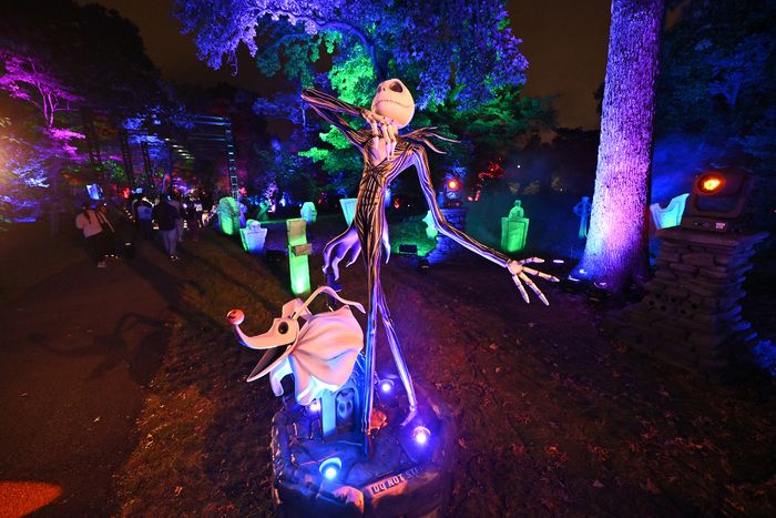 Photos: Inside THE NIGHTMARE BEFORE CHRISTMAS Light Trail at the New York Botanical Garden — photo 11 of 12