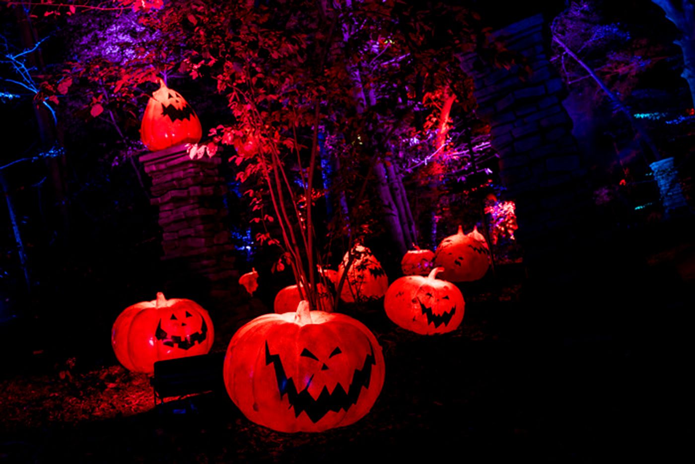 Photos: Inside THE NIGHTMARE BEFORE CHRISTMAS Light Trail at the New York Botanical Garden  Image