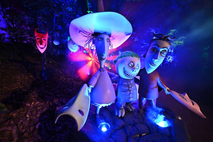 Photos: Inside THE NIGHTMARE BEFORE CHRISTMAS Light Trail at the New York Botanical Garden — photo 8 of 12