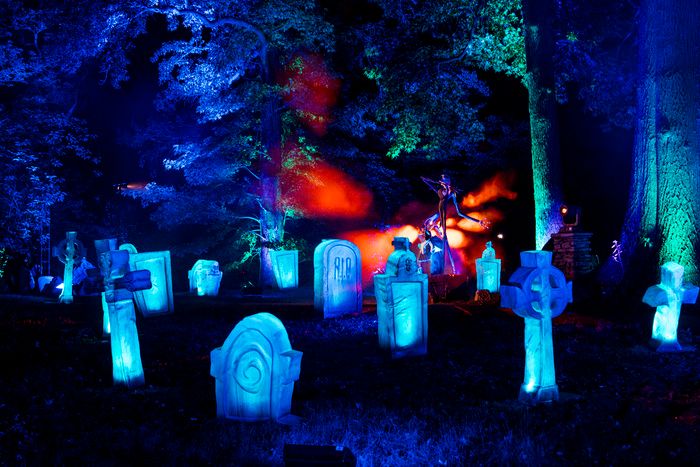 Photos: Inside THE NIGHTMARE BEFORE CHRISTMAS Light Trail at the New York Botanical Garden — photo 7 of 12