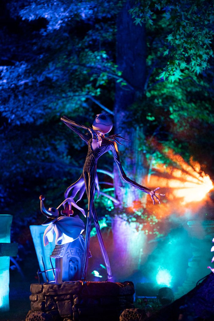 Photos: Inside THE NIGHTMARE BEFORE CHRISTMAS Light Trail at the New York Botanical Garden — photo 6 of 12