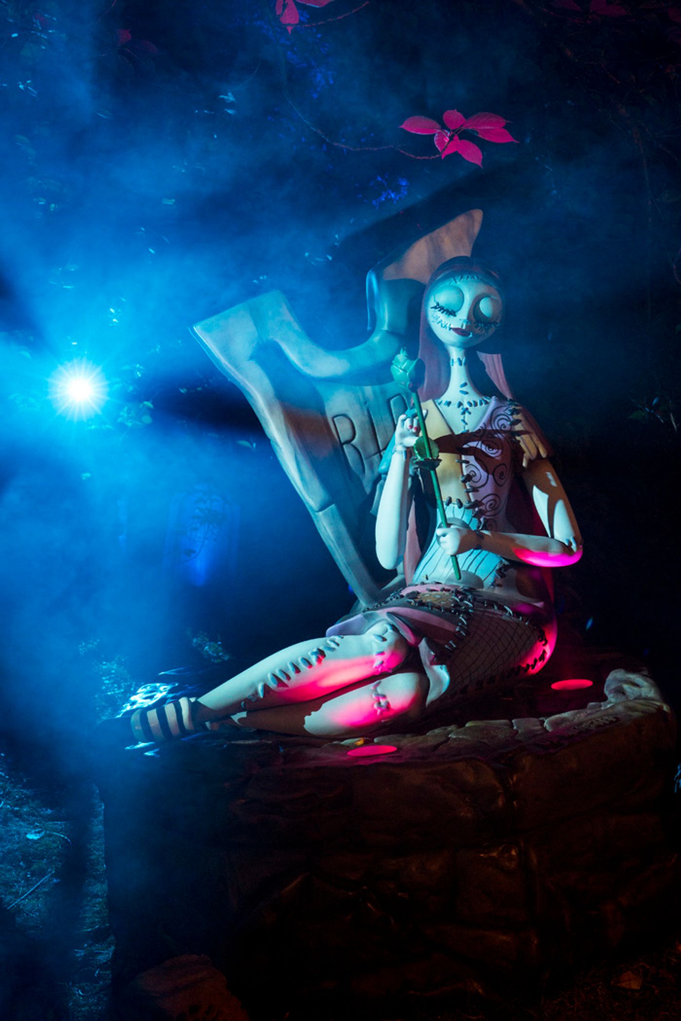 Photos: Inside THE NIGHTMARE BEFORE CHRISTMAS Light Trail at the New York Botanical Garden  Image