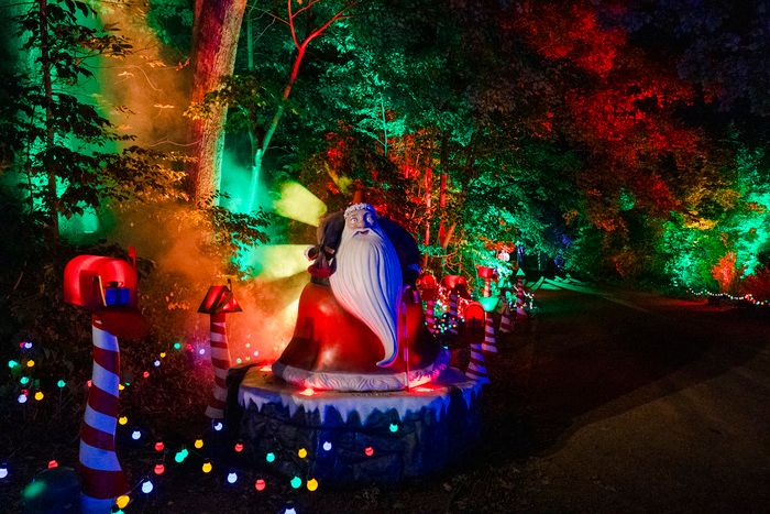 Photos: Inside THE NIGHTMARE BEFORE CHRISTMAS Light Trail at the New York Botanical Garden — photo 4 of 12