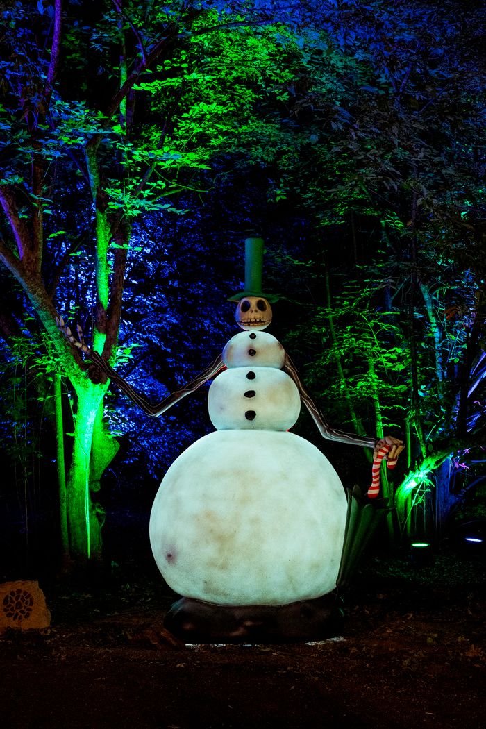 Photos: Inside THE NIGHTMARE BEFORE CHRISTMAS Light Trail at the New York Botanical Garden — photo 3 of 12