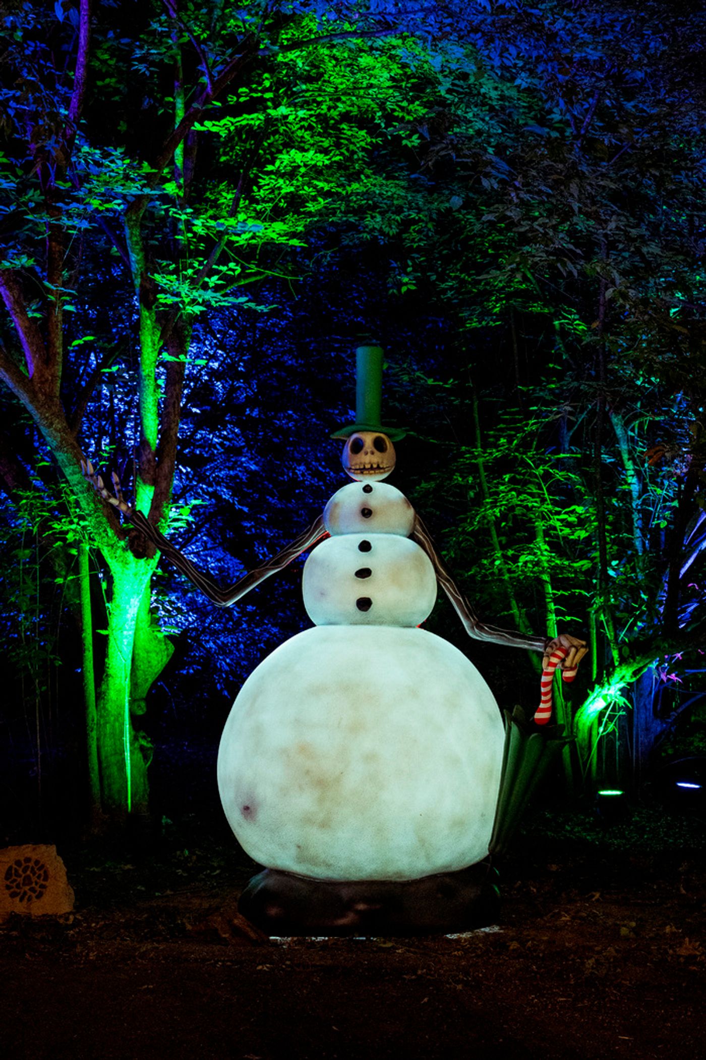 Photos: Inside THE NIGHTMARE BEFORE CHRISTMAS Light Trail at the New York Botanical Garden  Image
