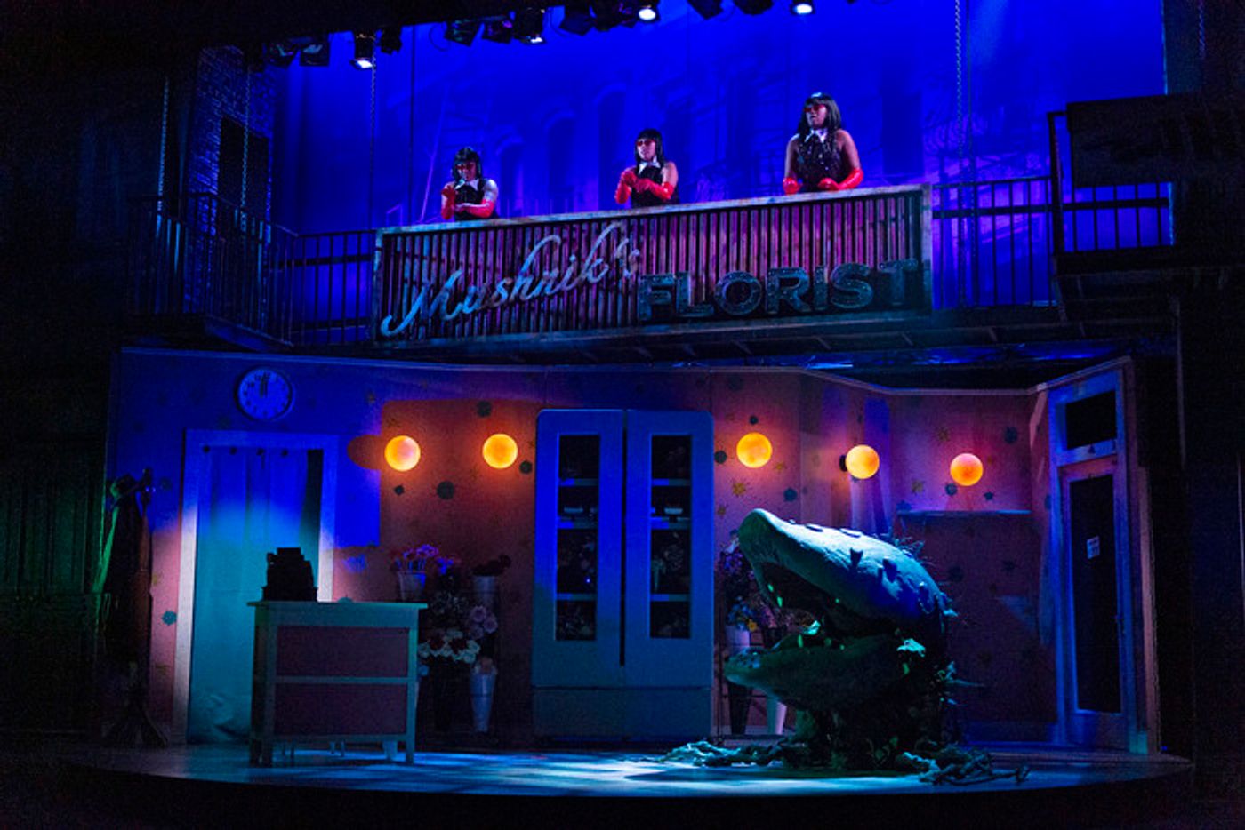 Photos: LITTLE SHOP OF HORRORS at South Coast Repertory  Image