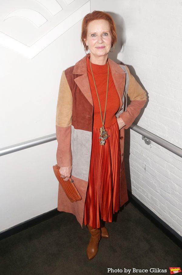 Cynthia Nixon Photo