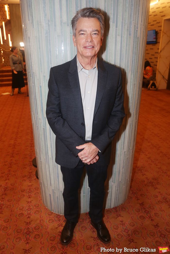 Photos: Peter Gallagher, Julianna Margulies and the Cast of LEFT ON TENTH Meet the Press — photo 13 of 17