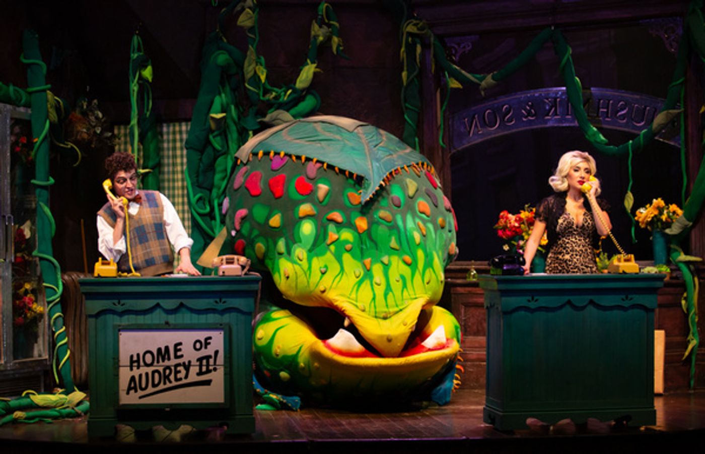 Photos: 5-Star Theatricals' LITTLE SHOP OF HORRORS at Bank of America Performing Arts Center  Image