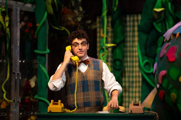 Photos: 5-Star Theatricals' LITTLE SHOP OF HORRORS at Bank of America Performing Arts Center — photo 2 of 8