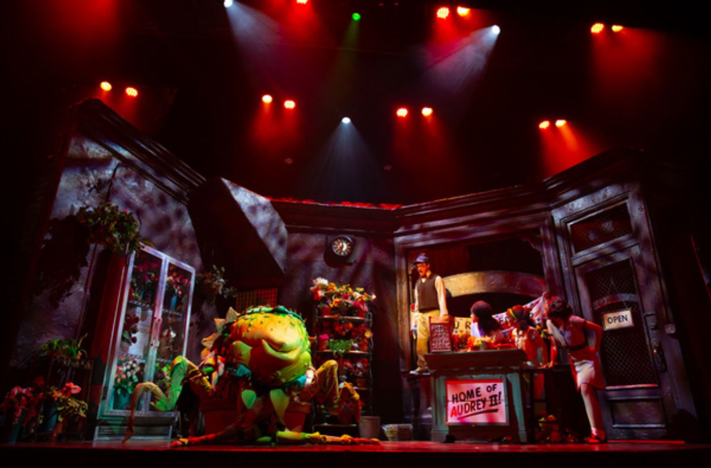 Photos: 5-Star Theatricals' LITTLE SHOP OF HORRORS at Bank of America Performing Arts Center  Image
