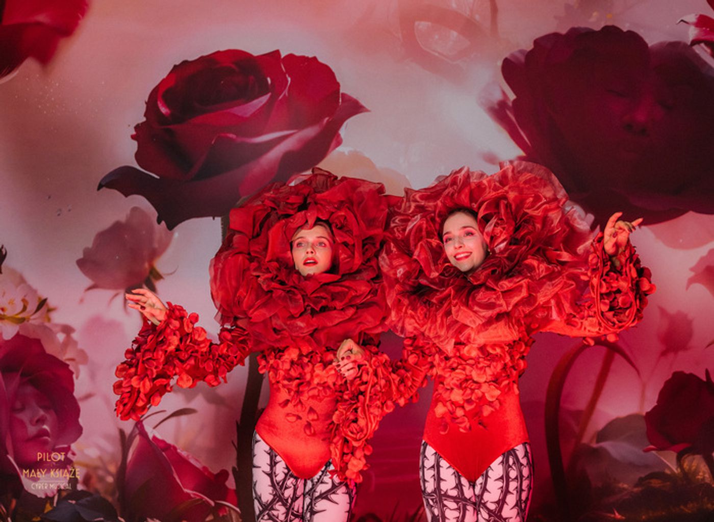 Photos: SAINT EX AND THE LITTLE PRINCE at Katowice City of Gardens Concert Hall  Image