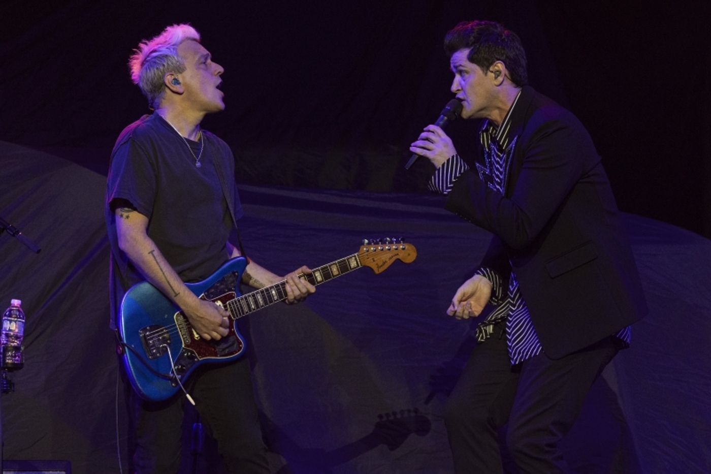 Review: P!NK, THE SCRIPT At Schottenstein Center  Image