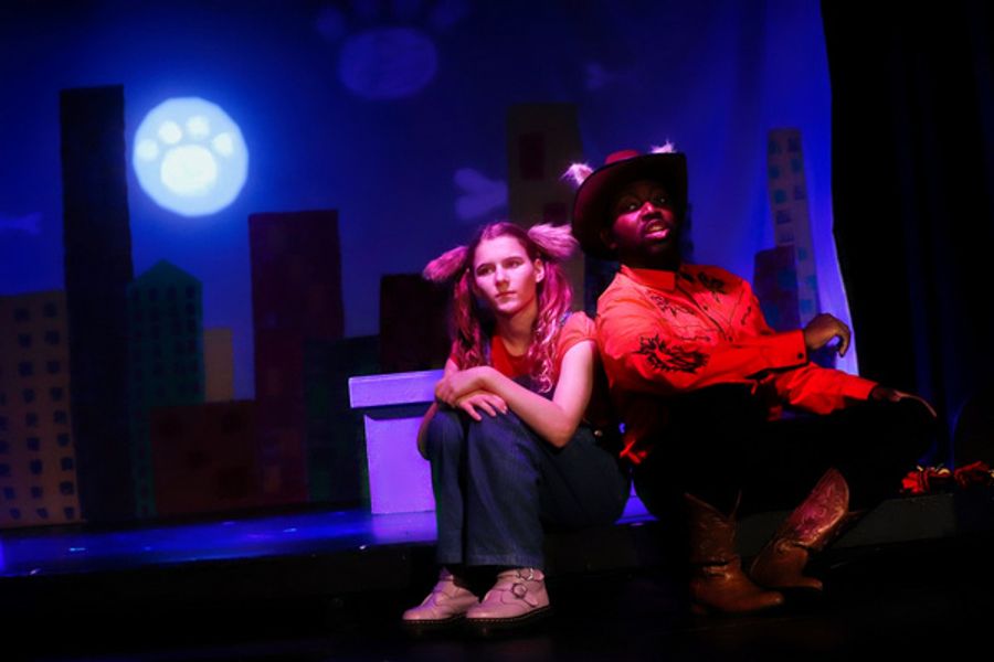 Photos: First Look At FUREVER HOME THE MUSICAL At Players Theatre Image