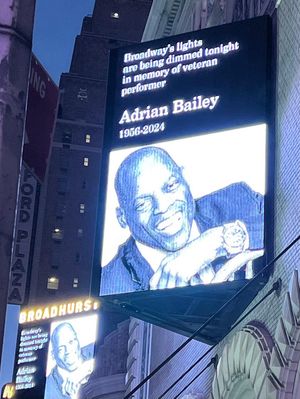 Light Dimming for Adrian Bailey  Photo
